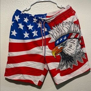 Chubbies patriotic Eagle Swim Shorts